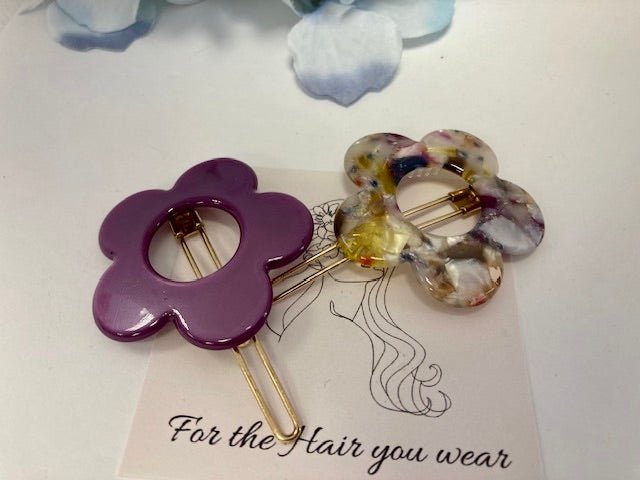 Beautiful 2 pack  hair slides